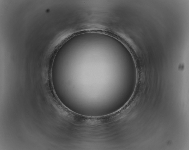 X0000091571407200708201134
