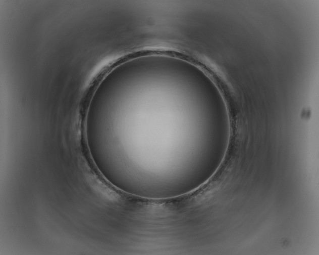 X0000091571408200708201134