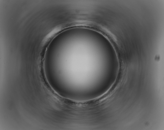 X0000091571411200708201135