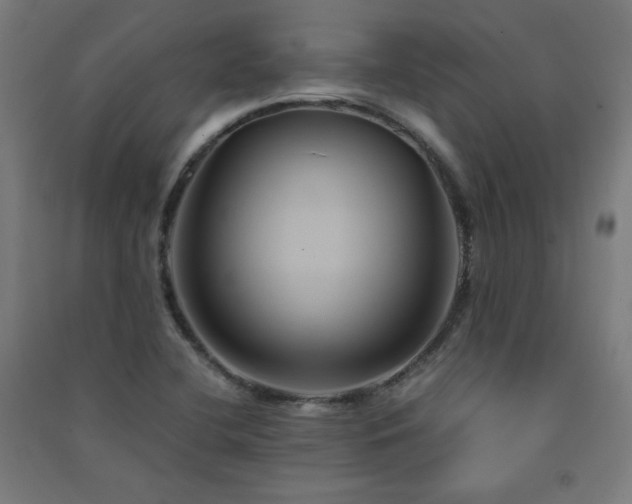 X0000091571412200708201135