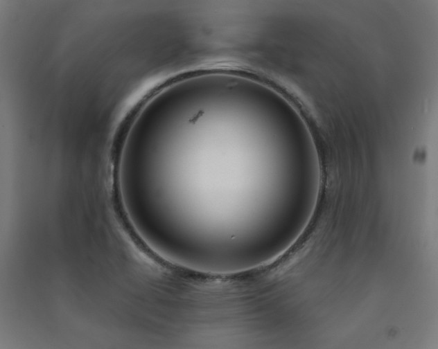 X0000091571414200708201135