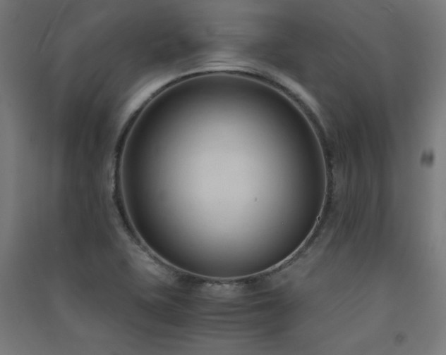 X0000091571415200708201135