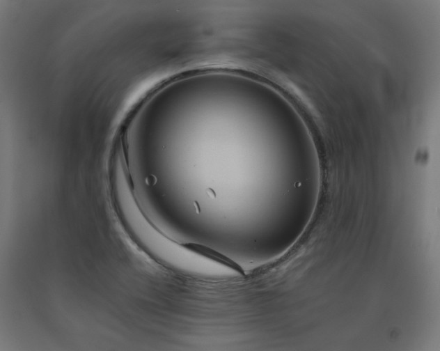 X0000091571416200708201135