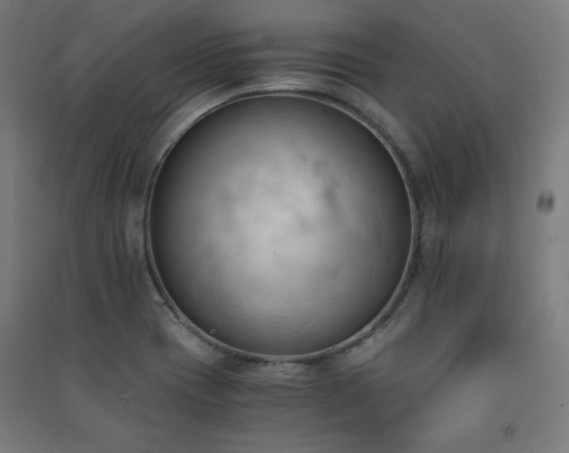 X0000091571417200708201135