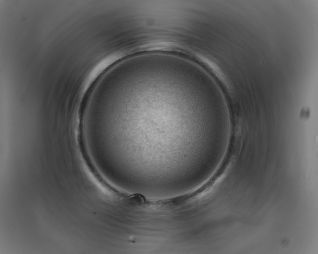 X0000091571418200708201135
