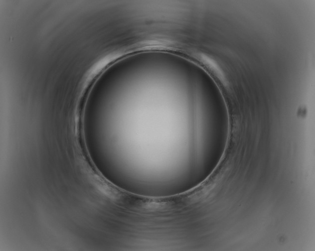 X0000091571419200708201135