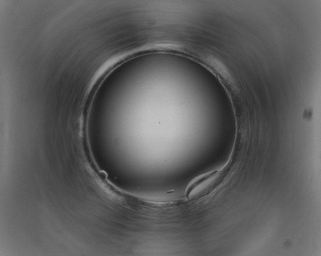 X0000091571420200708201135