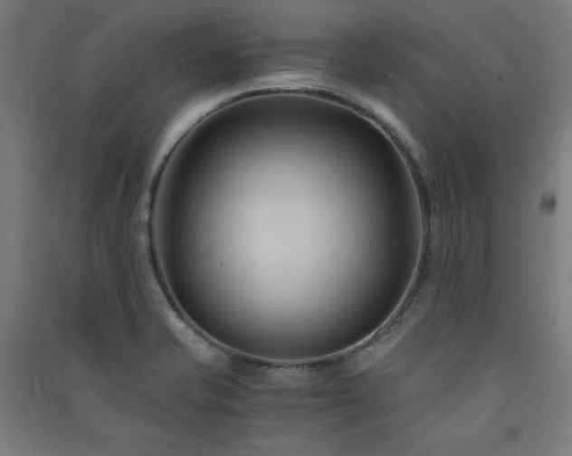 X0000091571421200708201135