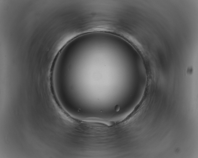 X0000091571423200708201135