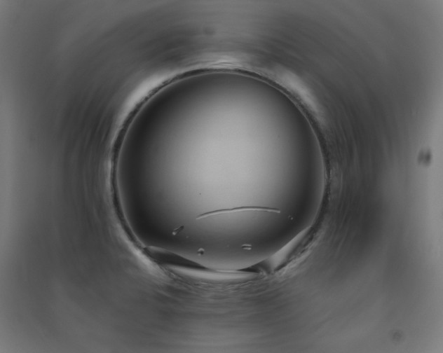 X0000091571424200708201135