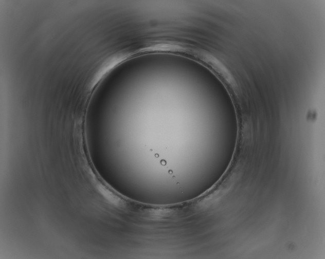 X0000091571425200708201135