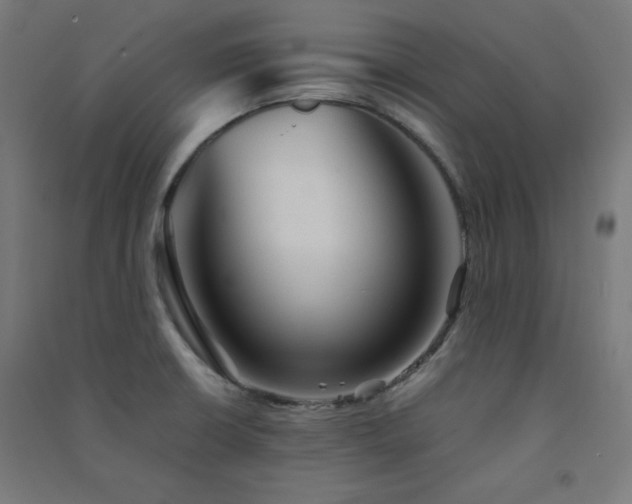 X0000091571426200708201135