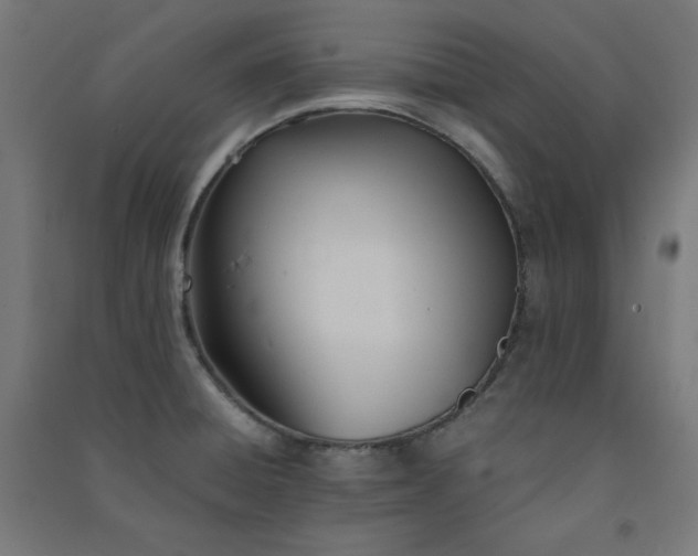 X0000091571428200708201135