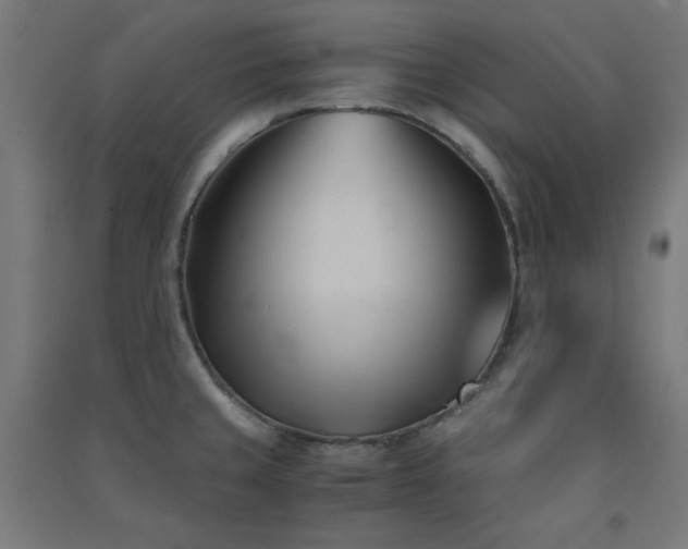 X0000091571429200708201135