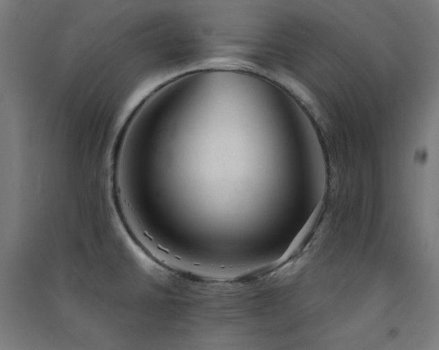 X0000091571430200708201135