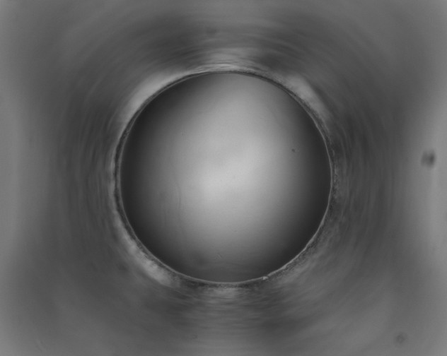 X0000091571431200708201135