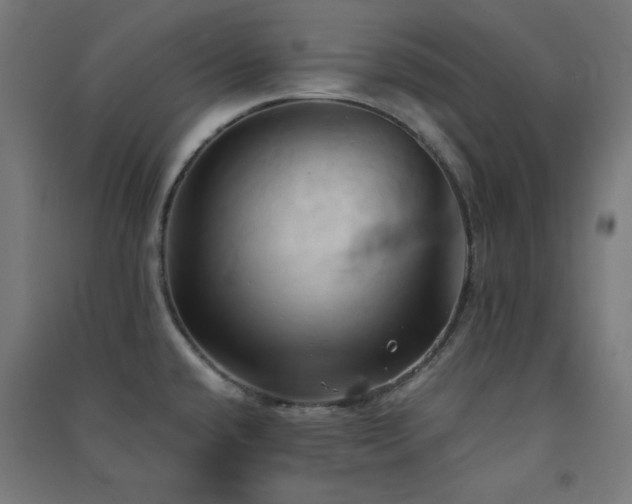 X0000091571432200708201135