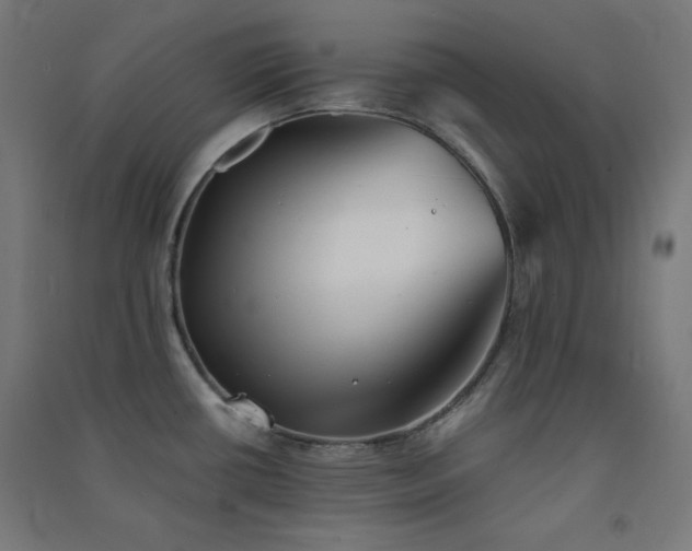 X0000091571434200708201135