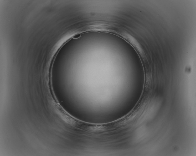 X0000091571435200708201135
