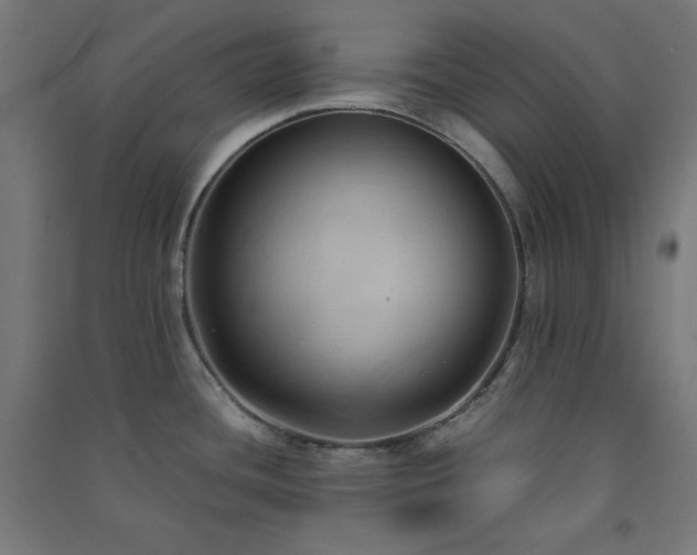 X0000091571436200708201135