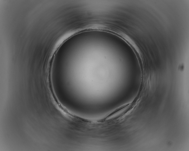 X0000091571437200708201135