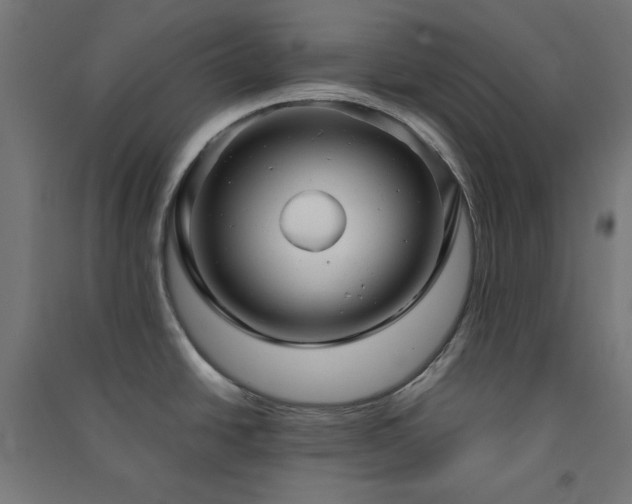 X0000091571438200708201135