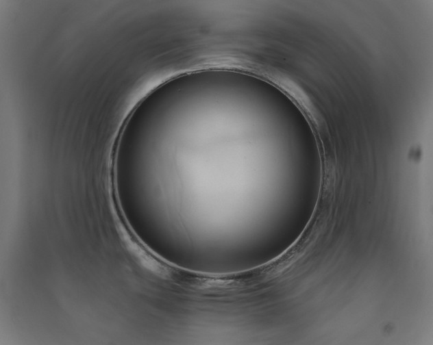 X0000091571439200708201135