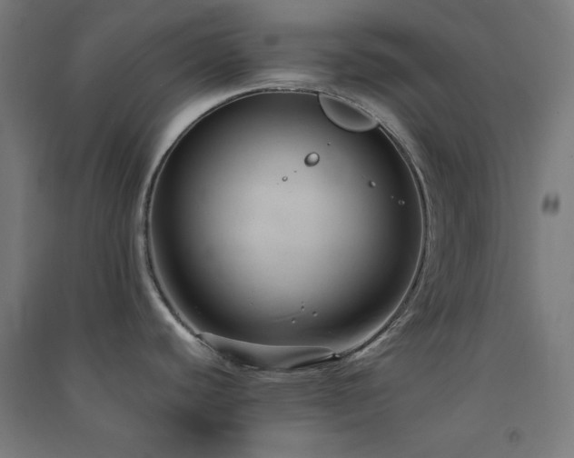X0000091571440200708201135