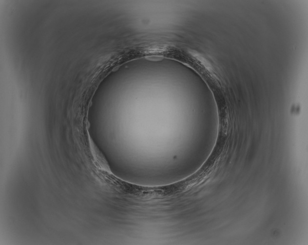 X0000091571441200708201134