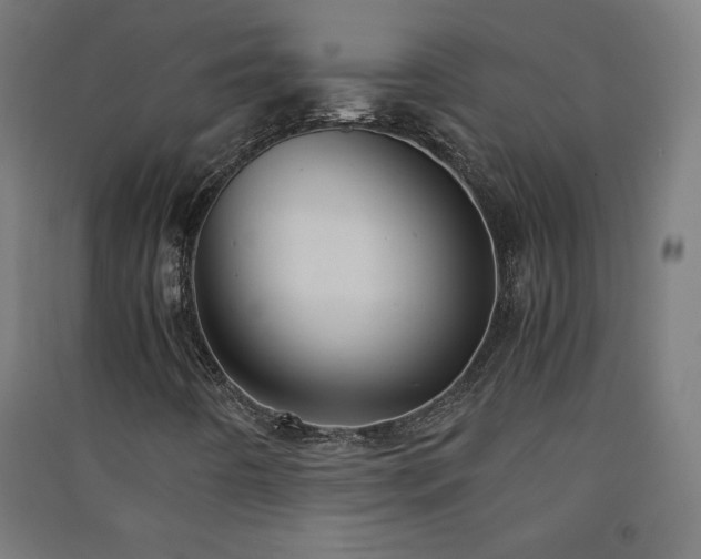X0000091571442200708201134