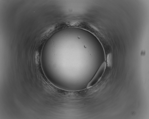 X0000091571443200708201134
