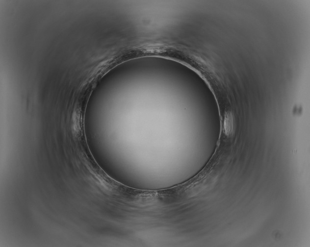 X0000091571444200708201134