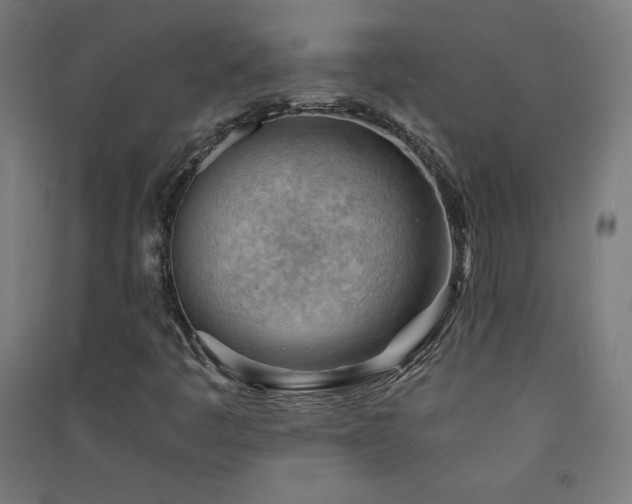 X0000091571445200708201134