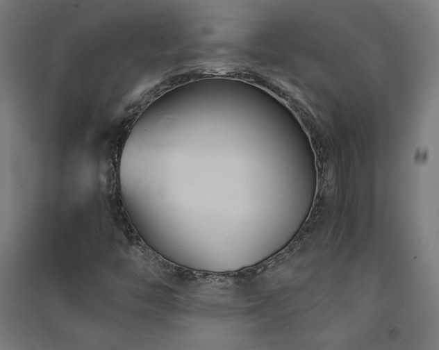 X0000091571446200708201134