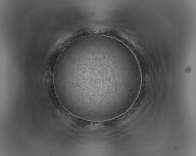 X0000091571447200708201134