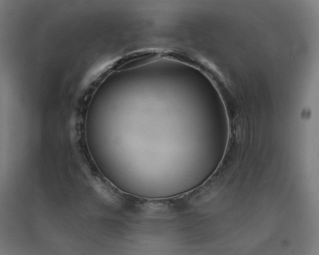 X0000091571448200708201134