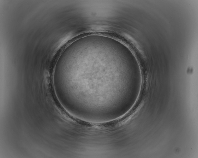X0000091571449200708201134