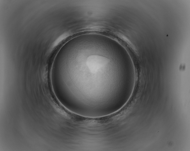 X0000091571450200708201134