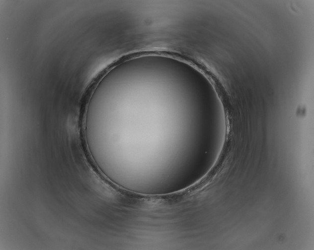 X0000091571452200708201134