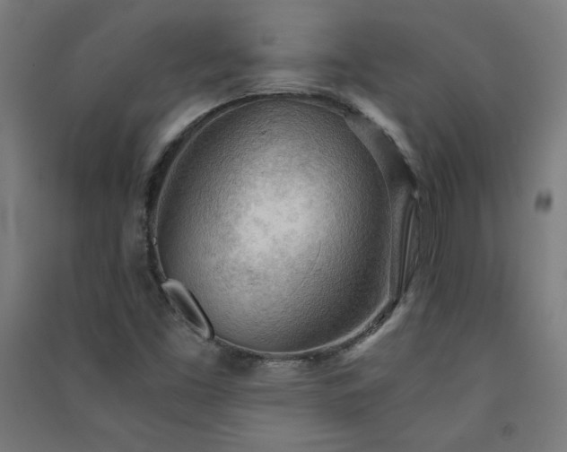 X0000091571453200708201134