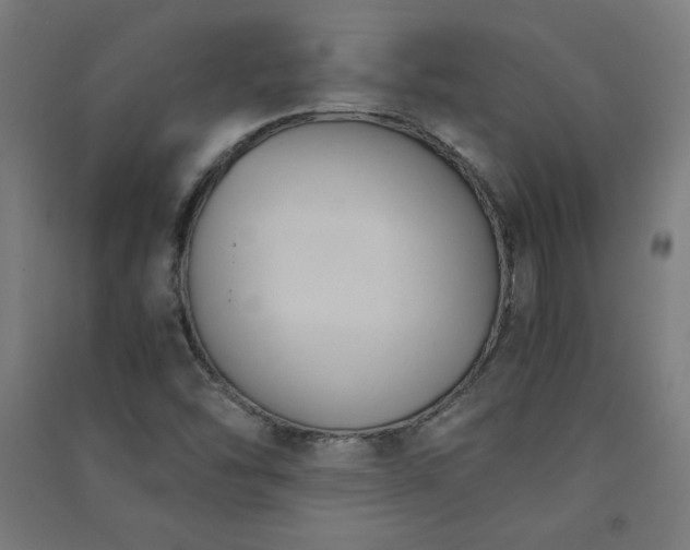X0000091571454200708201134