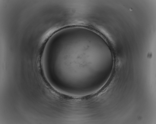 X0000091571455200708201134