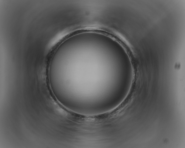X0000091571456200708201134