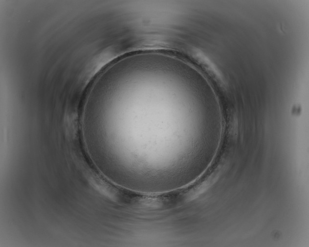 X0000091571457200708201134