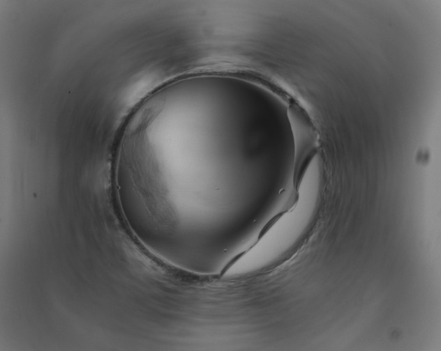 X0000091571459200708201134
