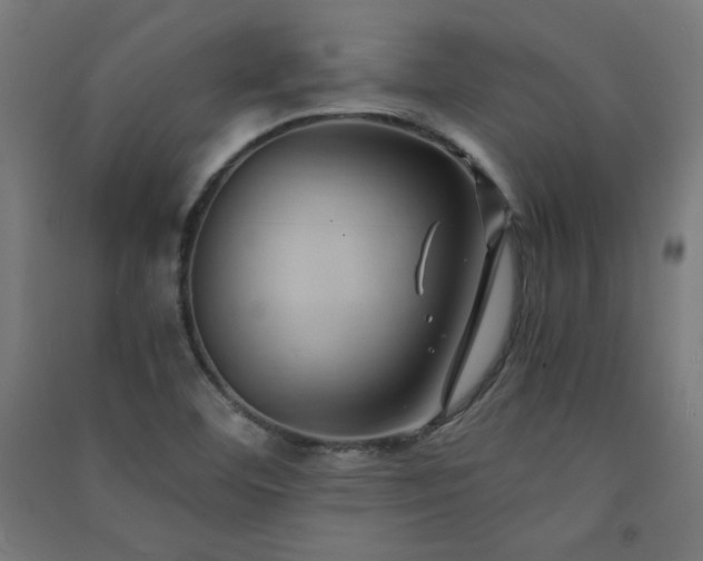X0000091571460200708201134