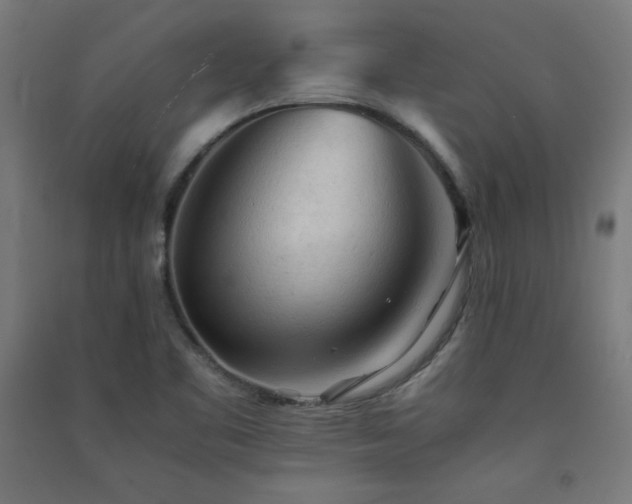 X0000091571461200708201134