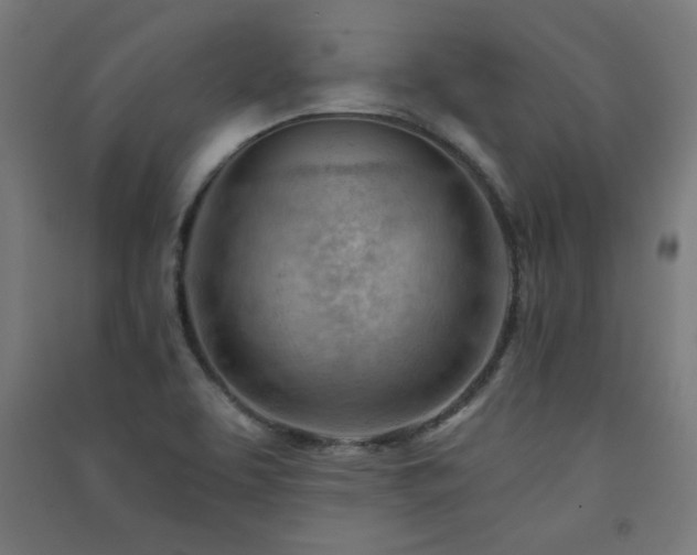X0000091571463200708201134