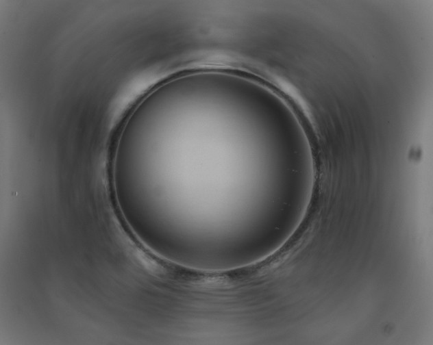 X0000091571464200708201134
