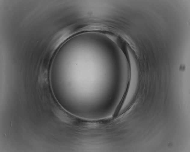 X0000091571465200708201134